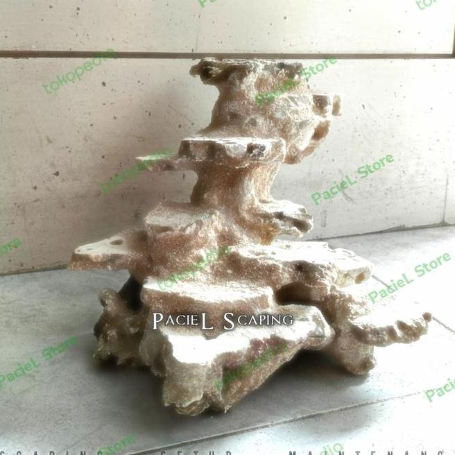 Scaping Deadrock Nano Tank #5