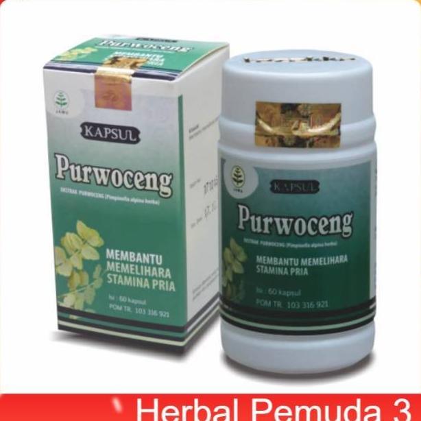 Terlaris Purwoceng 60 kapsul Tazakka