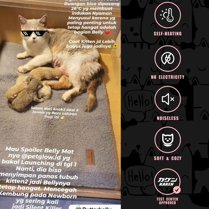 Petglow Baby Bear Belly Mat Anti Kembung Heating Pad Kucing Tanpa Listrik