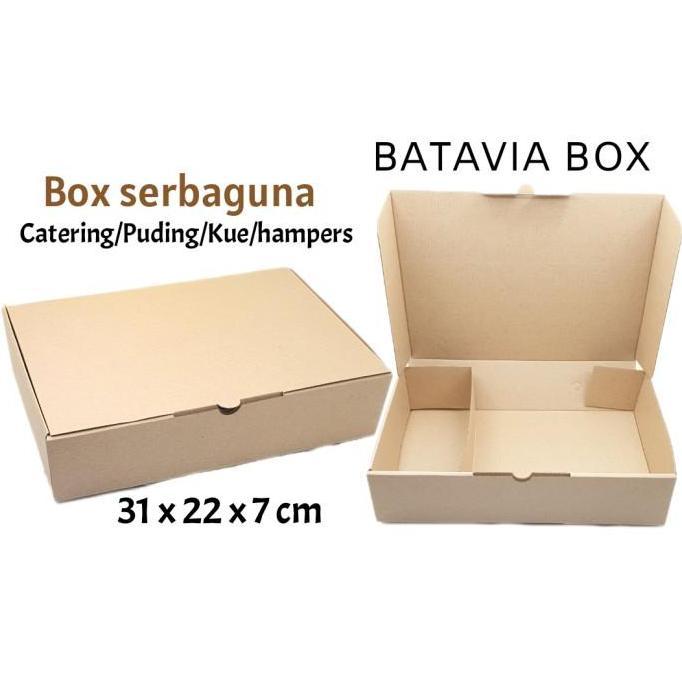Box catering serbaguna 31x22x7 sekat dalam
