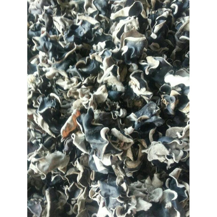 MURAH jamur Kuping / Jamur Hitam Kering 1 KG