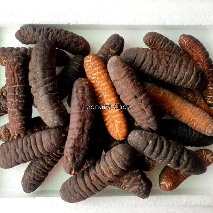 HAISOM BESAR SUPER 100GRAM BANGKA BELITUNG KERING TERIPANG GOSOK GAMAT