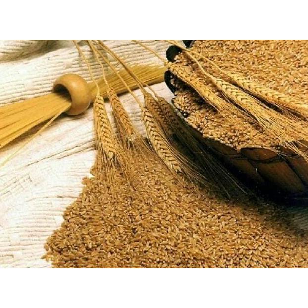 Beras GANDUM 1kg import MAROKO