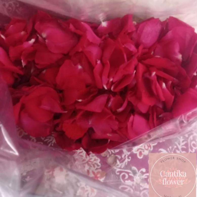 Kelopak Bunga Mawar Merah Asli Fresh Tabur