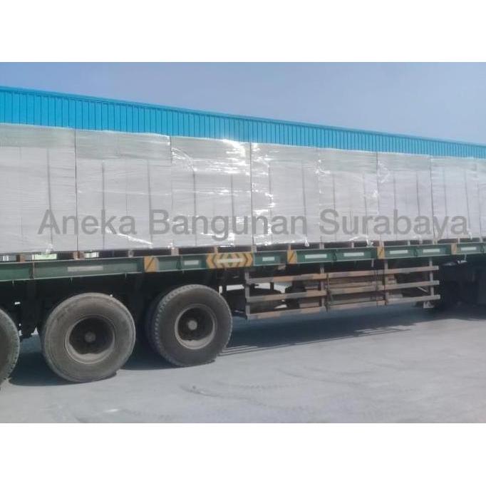 GRAND ELEPHANT | BATA RINGAN AAC GE | HEBEL