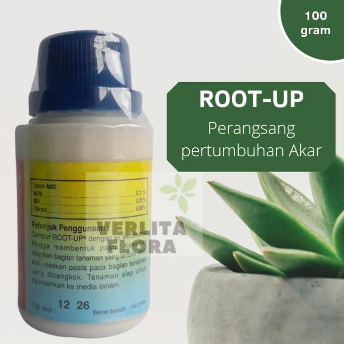 ZPT / Pertumbuhan akar Root Up