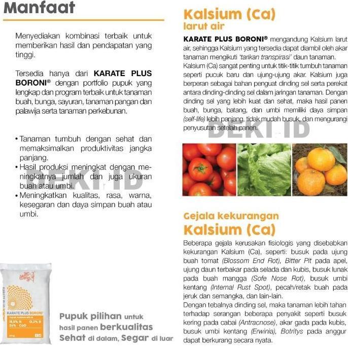 Pupuk Karate Boroni Meroke Kalsium Nitrat Plus Boron