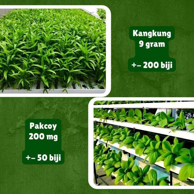 Paket Benih Bibit Sayuran Daun Lengkap 10 Jenis Benih Sayuran