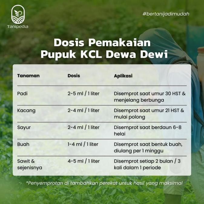 (Gratis Topi Masker) Dewa Dewi KCL - Pupuk Kalium Cair - Untuk Pembesaran Buah Umbi dan Padi - 3 Lit