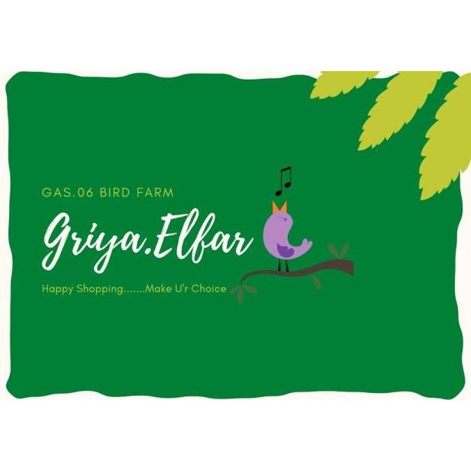 [800 GRAM] JUMBO KUACI/KWACI/BIJI BUNGA MATAHARI MENTAH