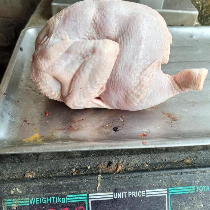 Beff- Ayam Broiler Frozen Ukuran 900 Grm/Frozen/Ayam Negri Frozen/Daging Ayam Karkas