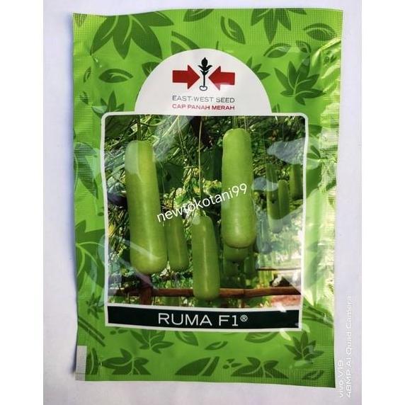 Benih labu air hibrida RUMA F1 10 gram labu siam blonceng panah merah