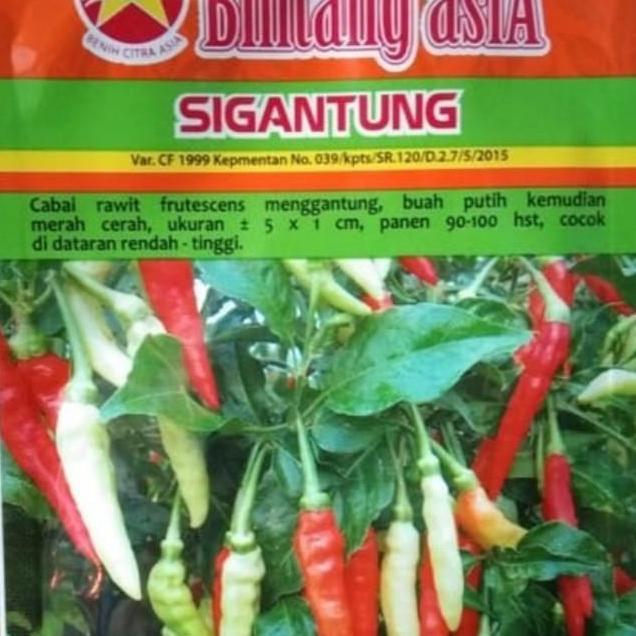 benih cabe rawit SIGANTUNG 10gr
