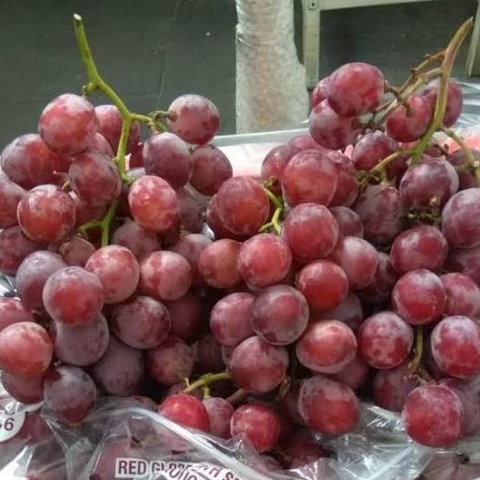 Fruting- Buah Anggur Merah Manis Segar 1/2 Kg