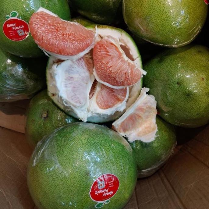 Fruting- Pomelo | Pomelo Maluku | Pomelo Madu |