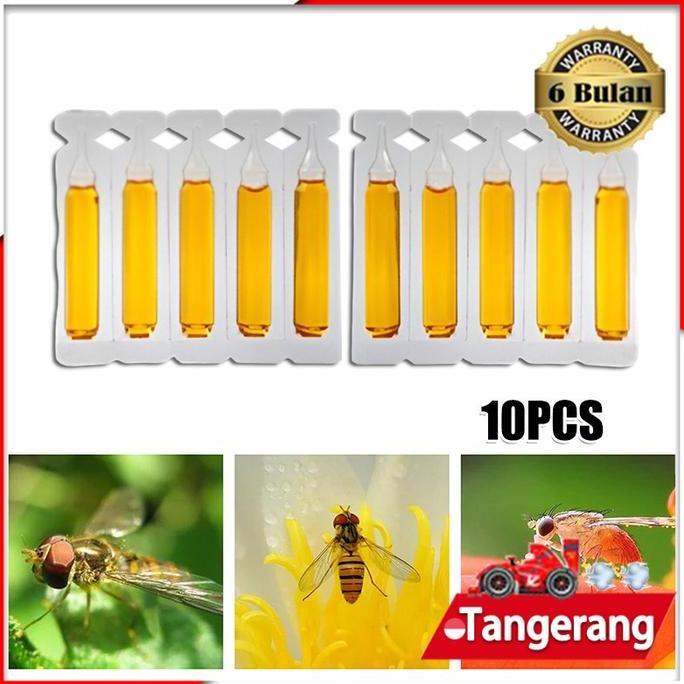 MRIKI 10pcs Fruit Fly Attractant 2ml Trap Bait / Fruit Fly Attractant Liquid