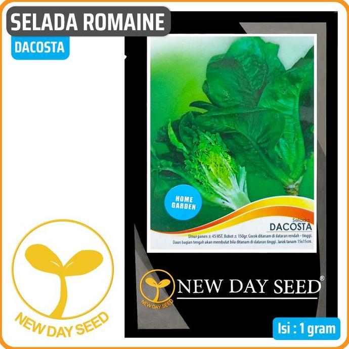 Parkx- Selada Romaine Dacosta, 1 Gr | New Day Seed