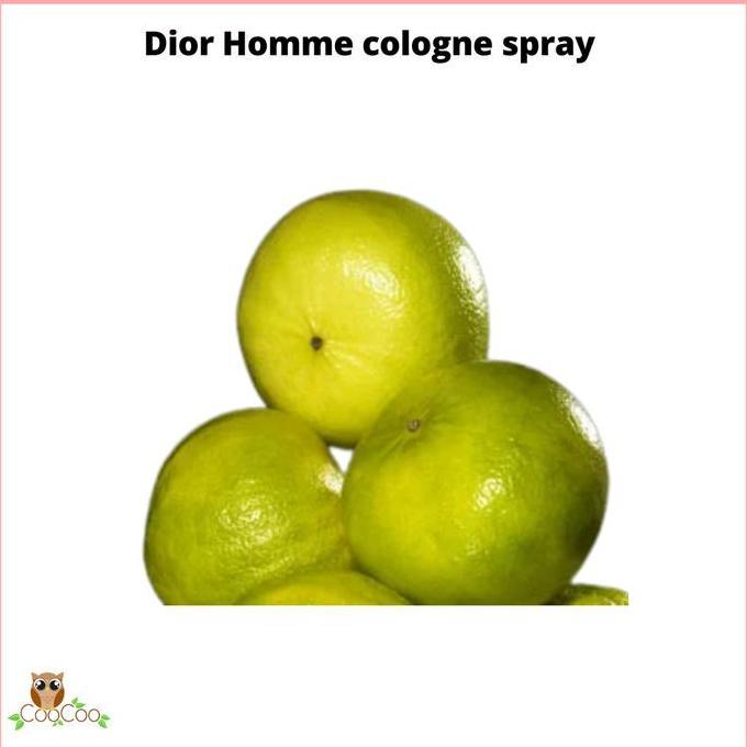 Dior Homme Cologne Spray