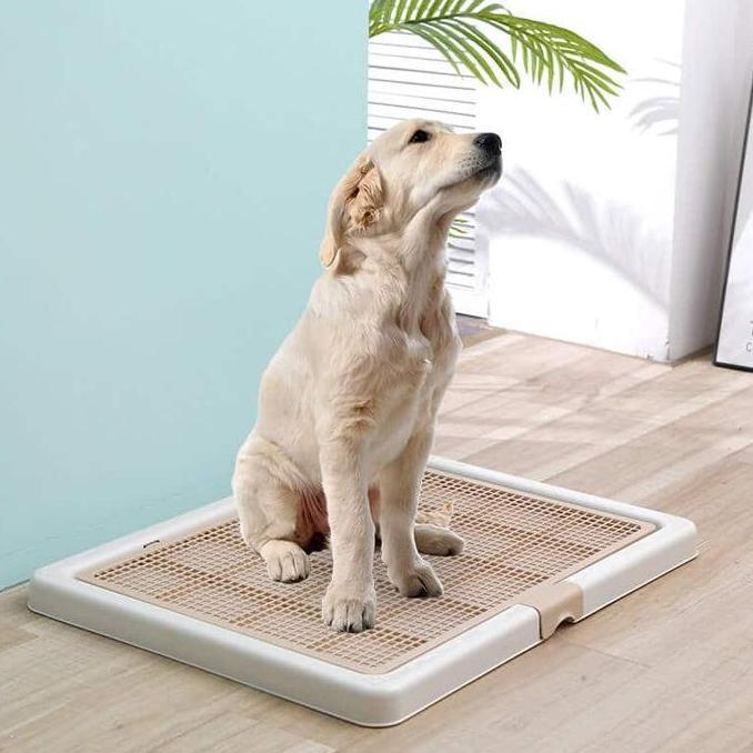 Pet Toilet Training Dog Large - Tempat Pipis Poop - Pee Tray Dog L