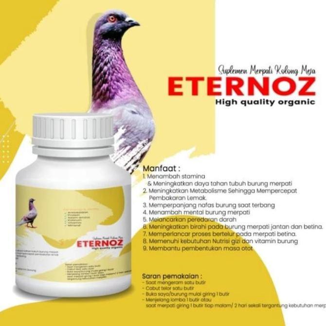 JAMU MERPATI ETERNOZ KUNING PUTIH BURUNG SPRINT MANUVER BURUNG MERPATI