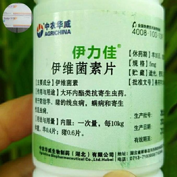 Ivermectin Tablet 5mg Segel Barcode Scabies Cacing Parasit iver inver