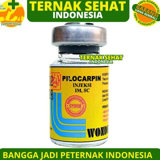PILOCARPIN INJ 5ML WONDER - Obat Kembung Hewan & Kolik Sapi Kuda Kambing Domba Anjing Kucing
