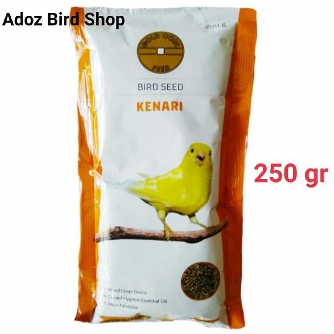 GOLD COIN KENARI