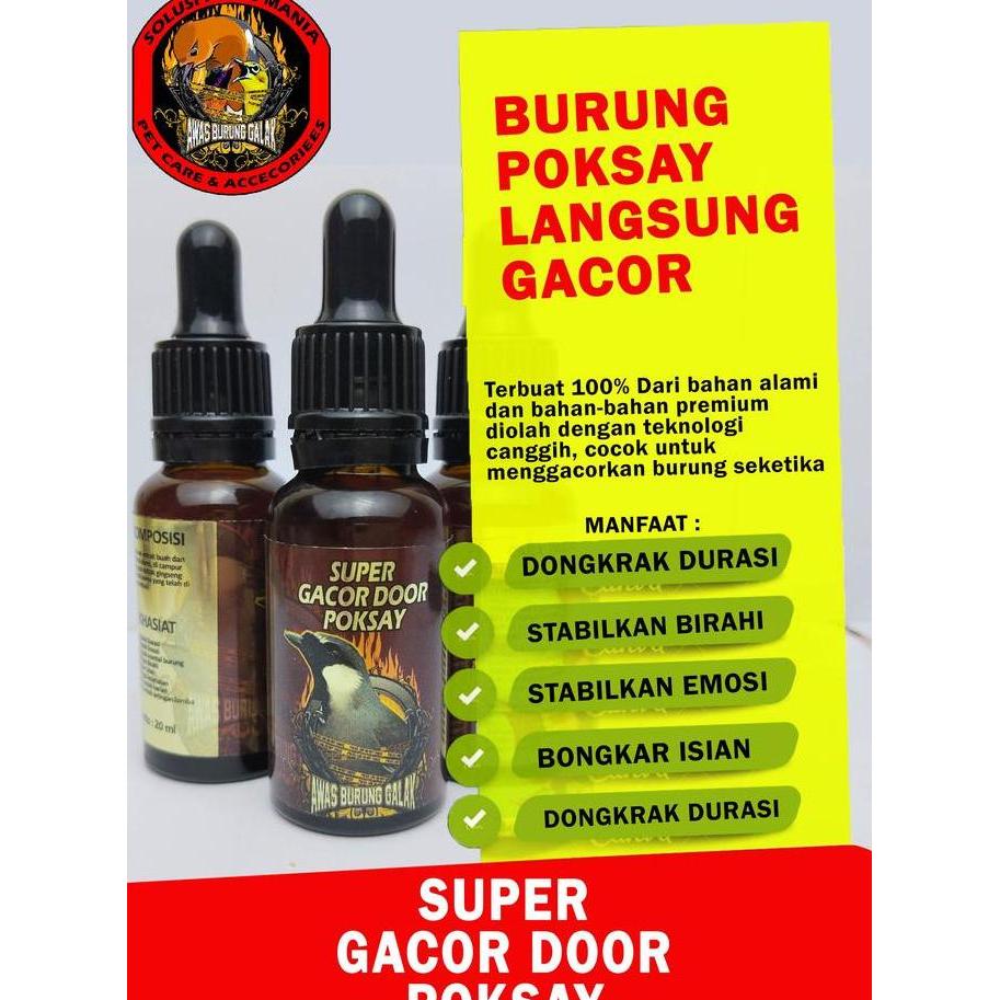 SUPER GACOR DOOR POKSAY PENGGACOR SEKETIKA
