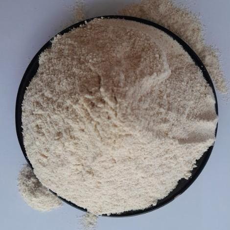 Ready Whole Meal Flour 500gram / Tepung Whole Meal From Australia