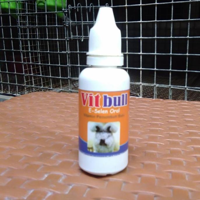 vitamin bulu kelinci supplemen