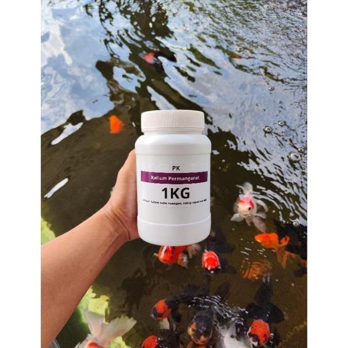 TERLARIS Kalium Permanganat PK Obat Ikan 1Kg Efektif Flukes READY