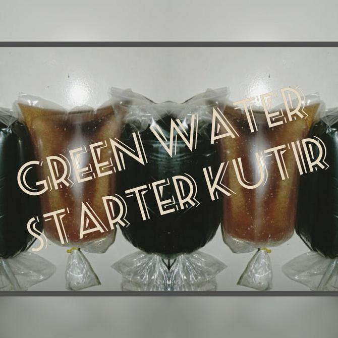 air hijau chlorella starter kutu air