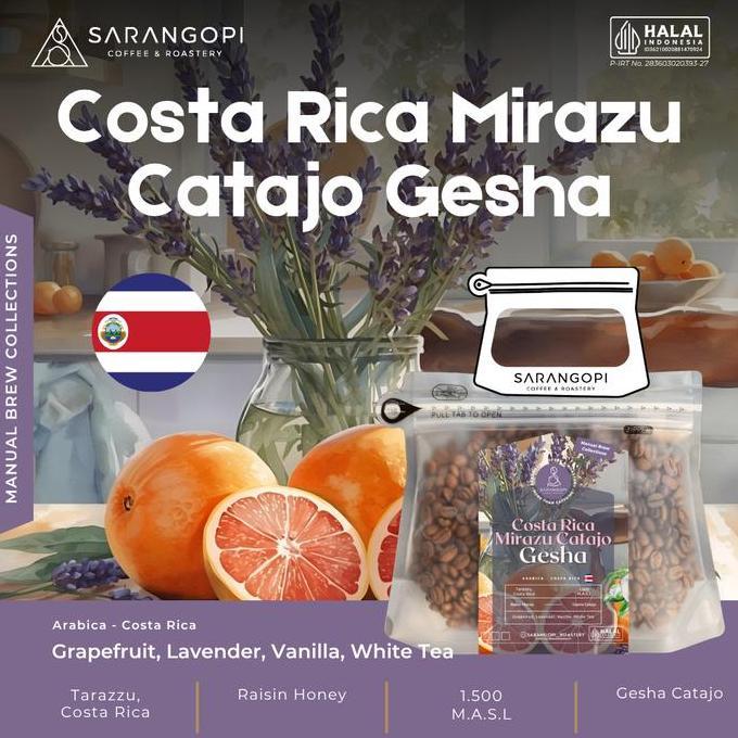 Costa Rica Mirazu Catajo Geisha Kopi Arabika - Sarangopi Roastery Speciality Beans V60 Coffee-100%Ar