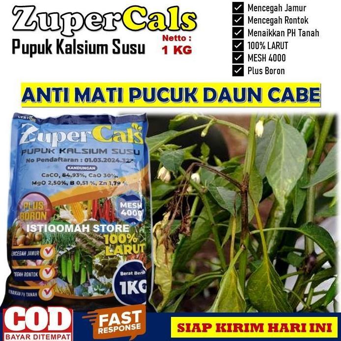 Pupuk Pencegah Mati Pucuk Daun Pada Tanaman Cabe Terbaik ZUPERCALS 1 KG Obat Anti Busuk Akar Busuk D