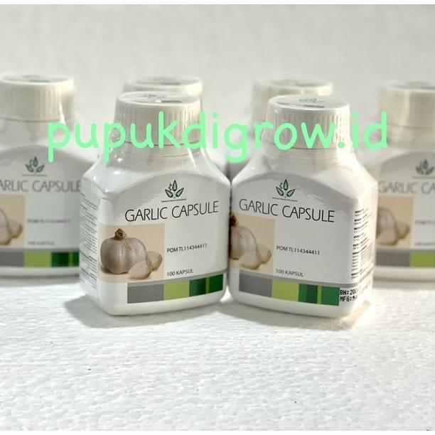 Garlic Plus Obat Kolesterol Herbal 100 Tablet Diamond Interest