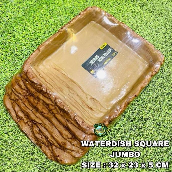 Ready WATERDISH SQUARE JUMBO XXL TEMPAT MINUM IGUANNA KURA DARAT ALDABRA SULCATA PARDALIS CHERRYHEAD