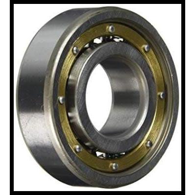 TERLARIS BEARING 6204 MA - 6204 MA SKF 