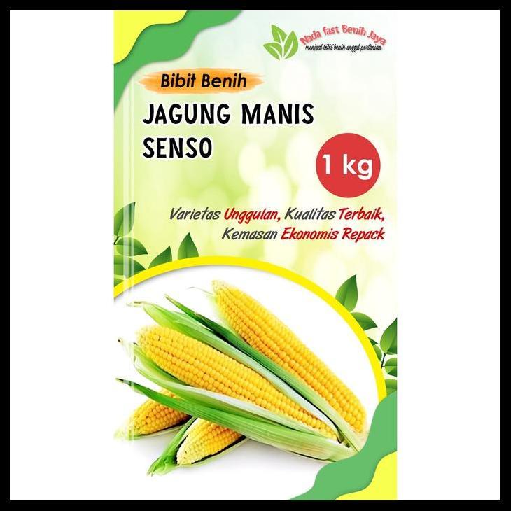 Promo / 1 Kg Benih Jagung Manis Senso / Bibit Jagung Manis  Tanaman