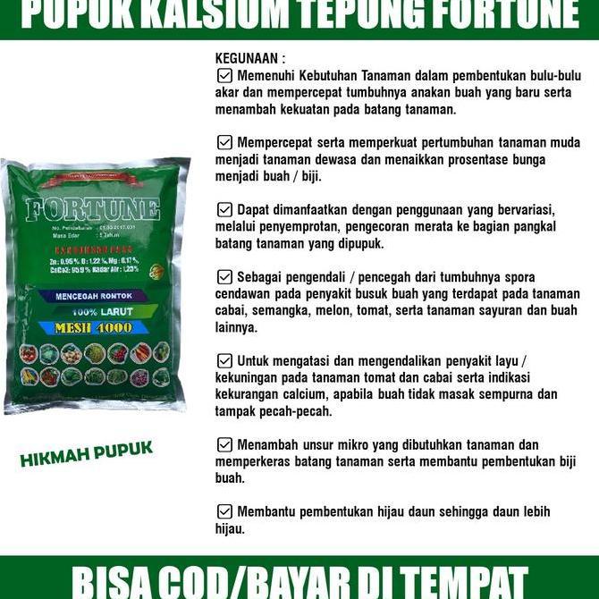 OBAT KALSIUM TANAMAN CABE/CABAI RAWIT FORTUNE Pupuk Semprot Penyakit Layu Pada Tanaman Cabe - Obat L