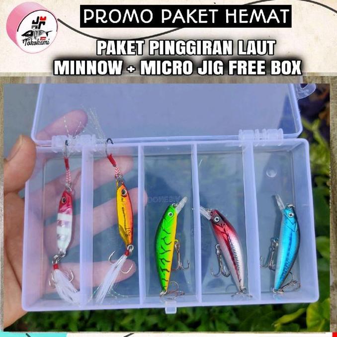 Procedere- Micro Jig 10 Gram + Minnow Sinking Lure Pancing