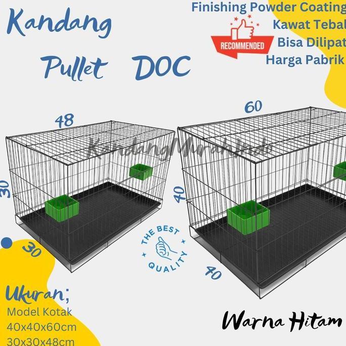 putriangkasapera - kandang umbaran pembesaran, doc, pullet, murah serbaguna l kandang doc hewan kuci