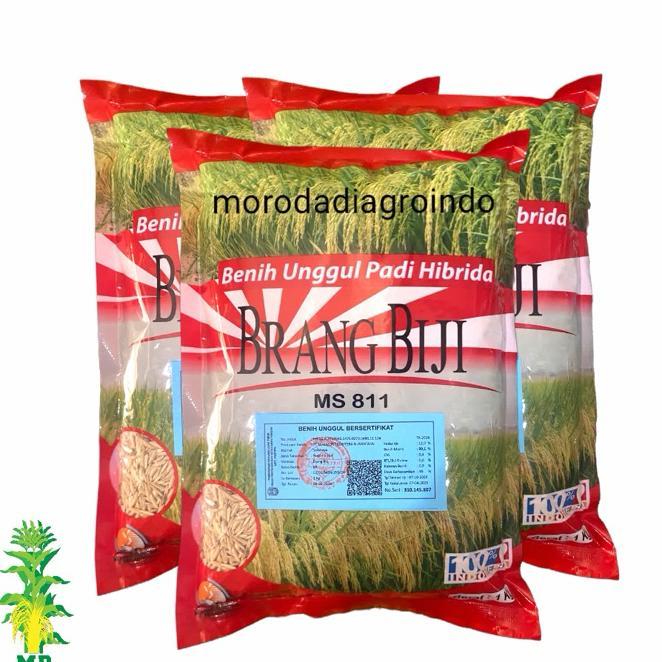Benih Padi Hibrida Brang Biji Ms811 Kemasan 1Kg.