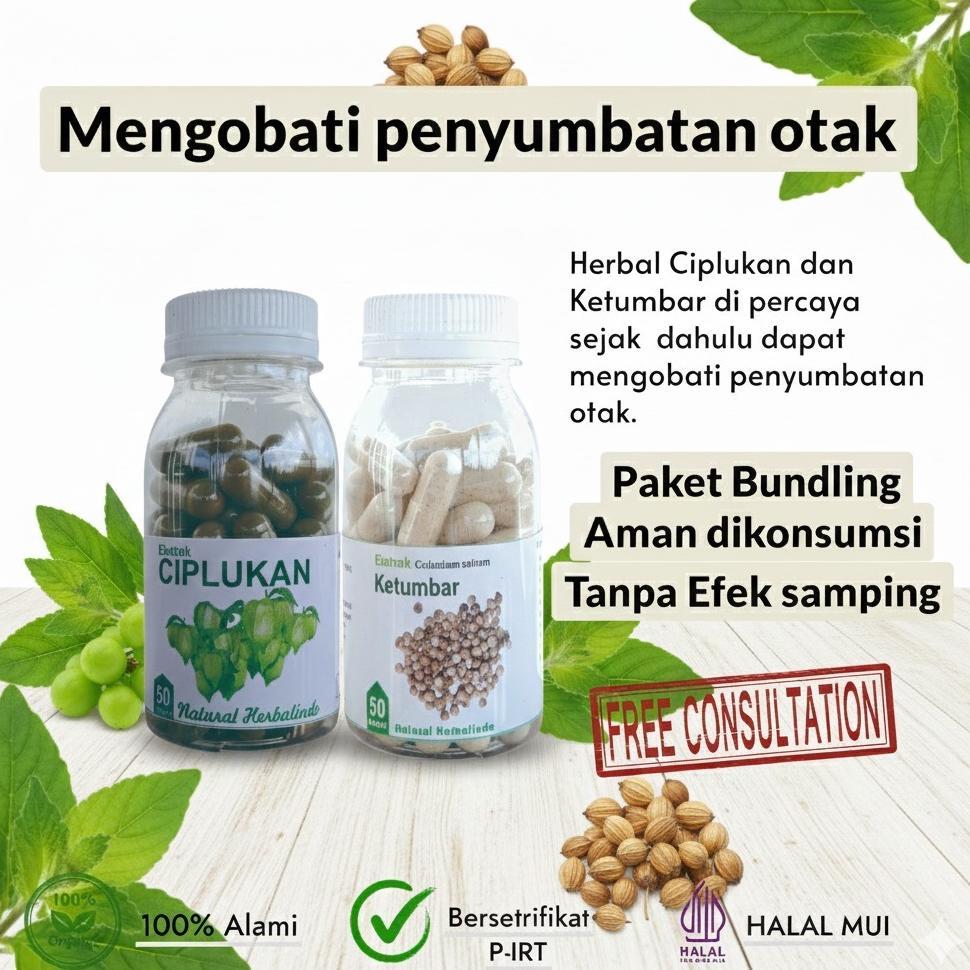 Obat Penymbatan Konorer Herbal Ketumbar Stroke Suplemen Saraf Otak Ciplukan Kapsul