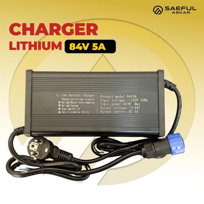 Phylion Charger Baterai Lithium 72V Soket M23 10A 5A