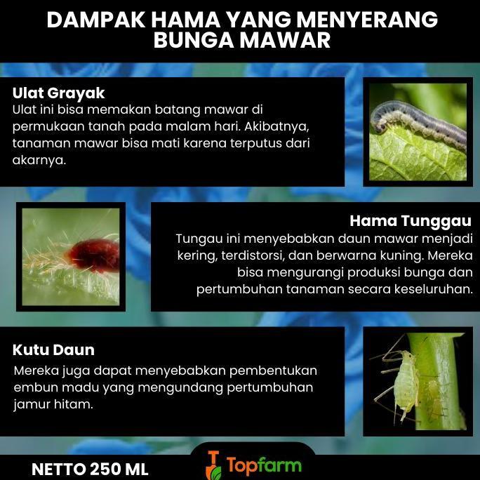 Obat Hama Tanaman Mawar / Obat Semprot Hama Bunga Hias / Insektisida Khusus Tanaman Hias / Pestisida