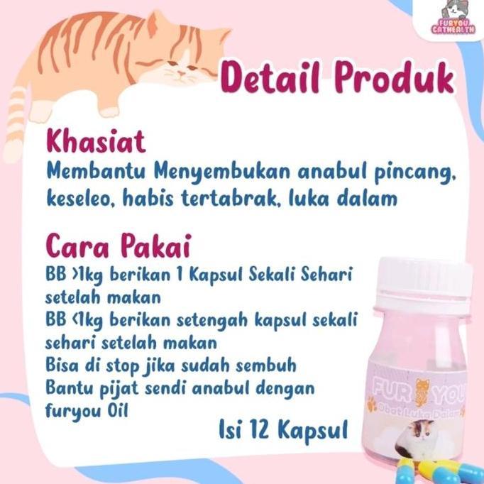 Fur You Obat Luka Dalam Obat Kucing Luka Jatuh Tertabrak Anabul Luka Kucing Luka