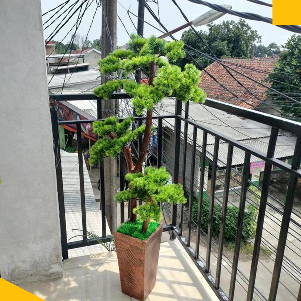 Pohon Bonsai Cemara Udang/Bonsai Cemara Udang Artificial/ Pohon Bonsai Tinggi 1,5 M