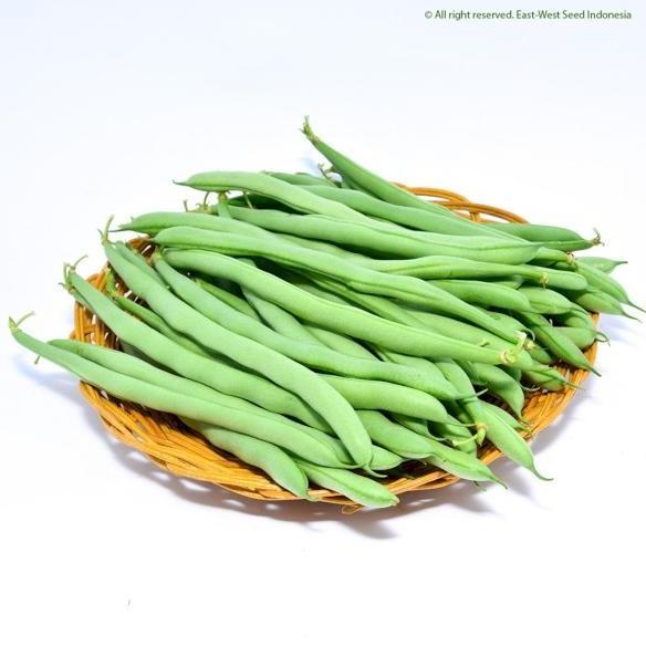 BUNCIS LOGAWA.BENIH LOGAWA,BENIH BUNCIS LOGAWA 500 GRAM