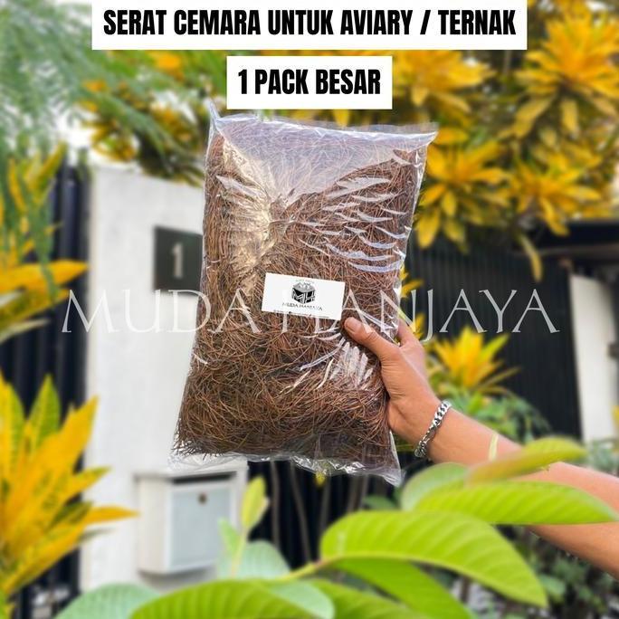 TERLARIS Alas Sarang Burung Serat Daun Pinus Cemara 1 Pack Besar untuk Aviary, Ternak dan Penetasan 