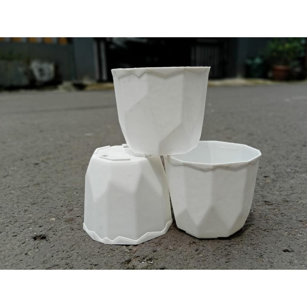 Promo Cod Pot Permata Putih 8Cm Pot Kecil Pot Kaktus Cantik Murah Grosir ><